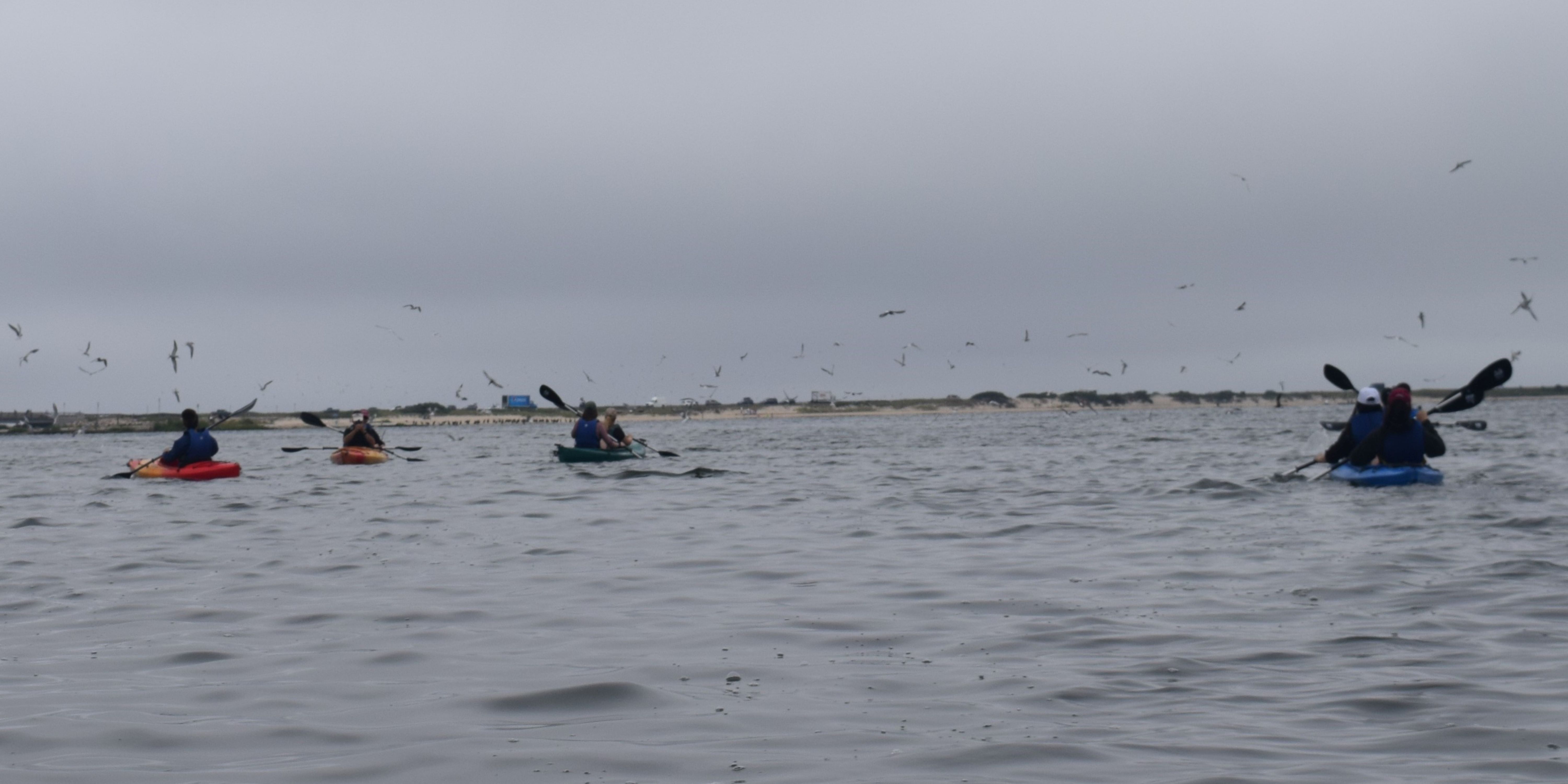 Girls in Science fellows kayaking