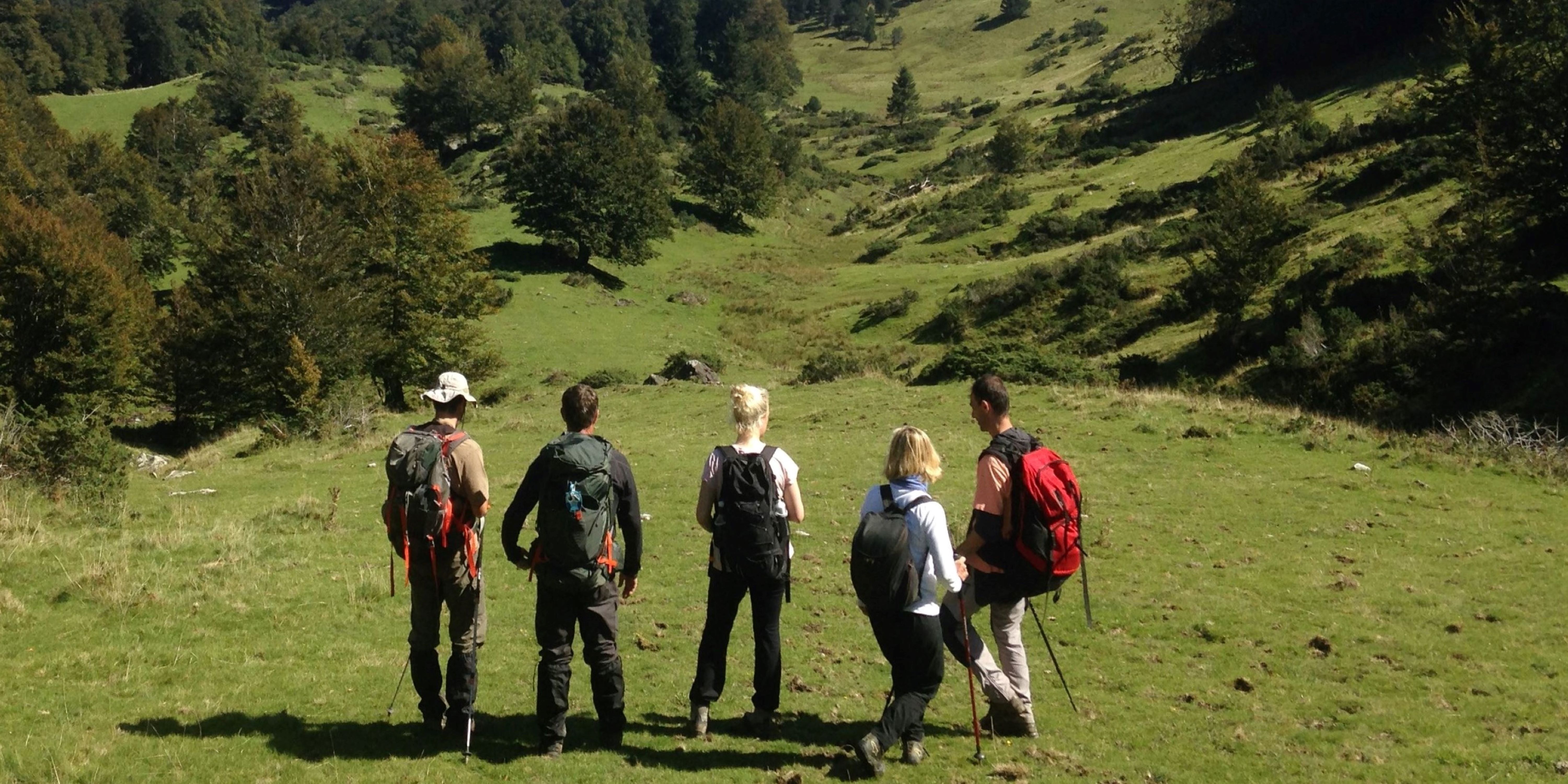 Alcoa Fellows in the field