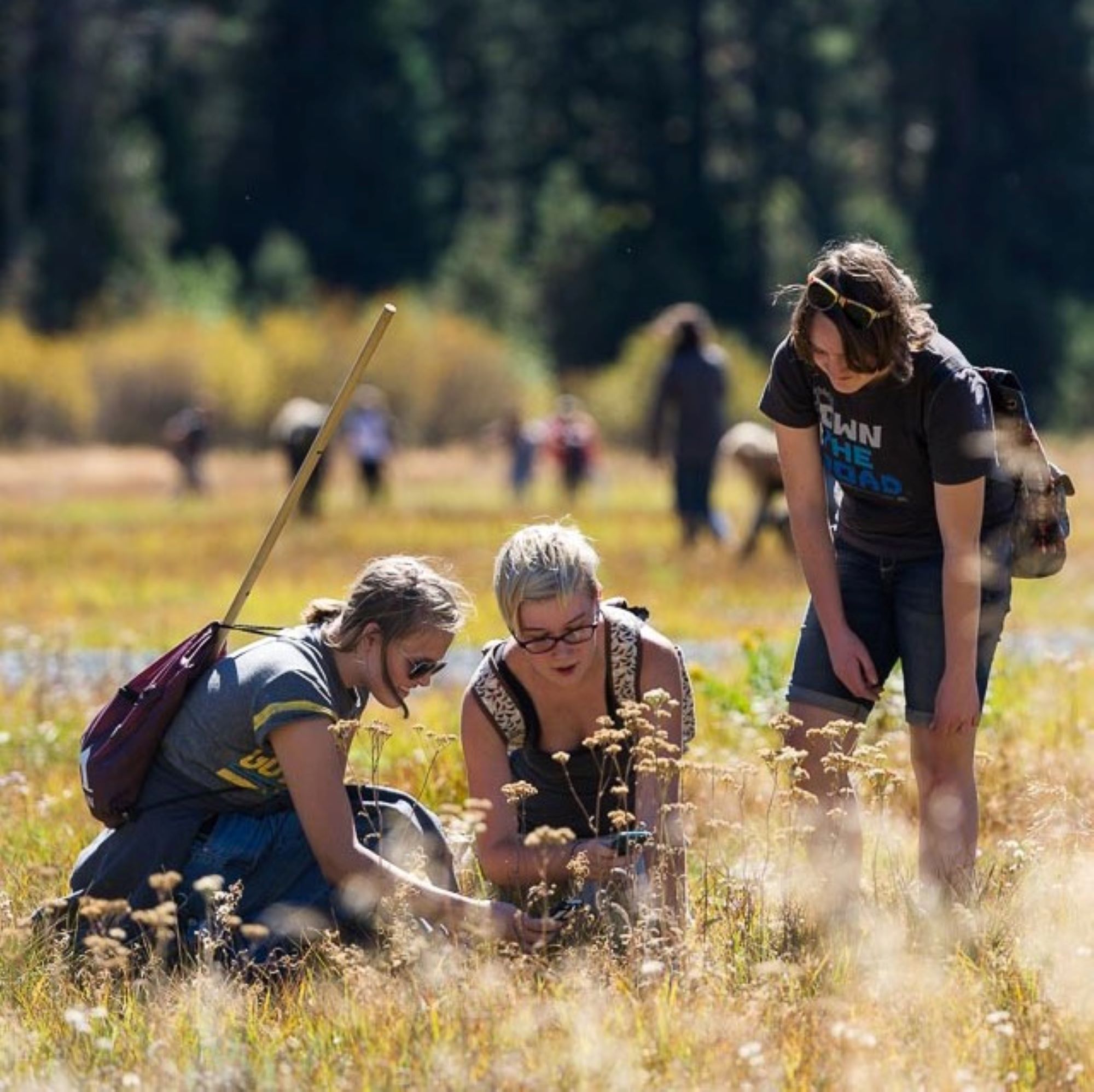 Sierra to Sea fieldwork (credit Josh Miller)