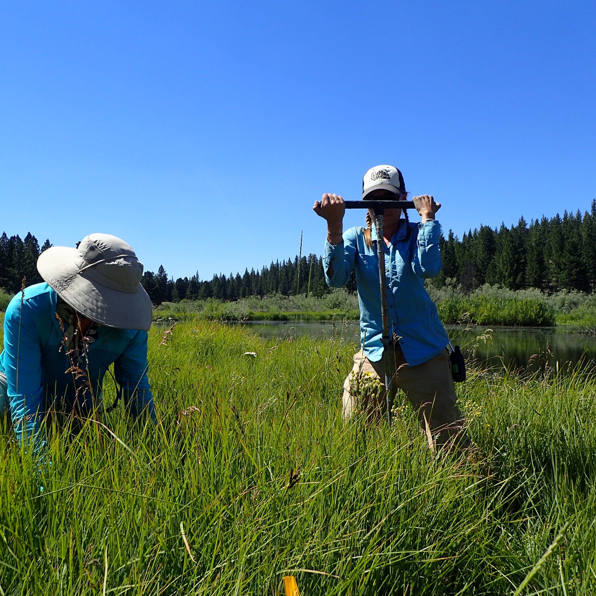 Sierra to Sea fieldwork (credit Gitte Venix)