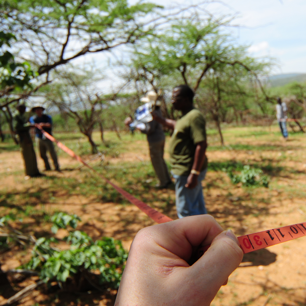 Connecting people to the natural world is at the core of Earthwatch’s mission. By pairing passionate volunteers with leading scientists, our pioneering model of citizen science allows researchers to collect huge amounts of data over prolonged periods, helping them build a rock-solid scientific case for the protection of threatened habitats and species. 