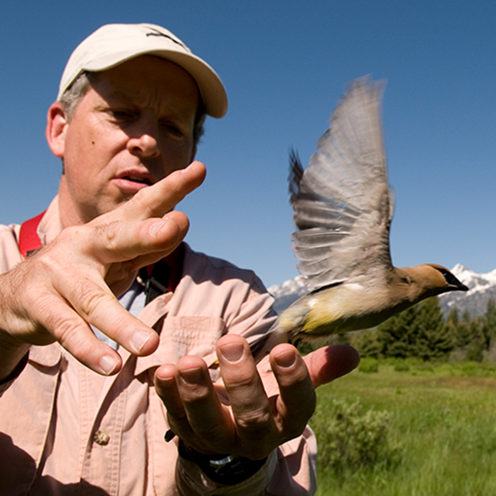 At a time when federal funding can be fickle, Earthwatch backs more long-term field research than almost any other organization. 