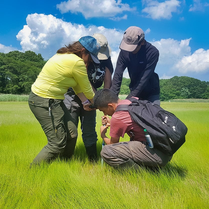 A group of Ignite fellows conducting research in Rhode Island.