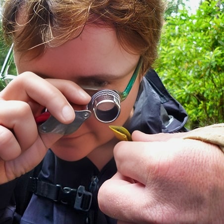 A young man looking at a lizard through a lens.