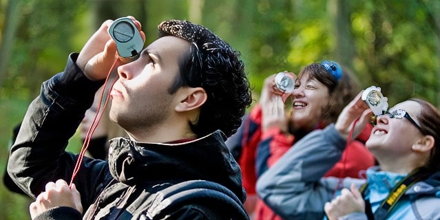 Four people in a forest looking up though the trees via a pocket telescope.