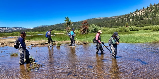 A group of Girls in Science fellows wading through the water with metal detectors and other scientific equipment.