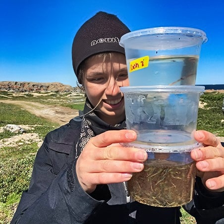 A woman monitoring specimens that were collected at the research site.