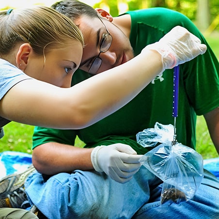 Two people sitting on the ground weighing a rodent for research purposes.