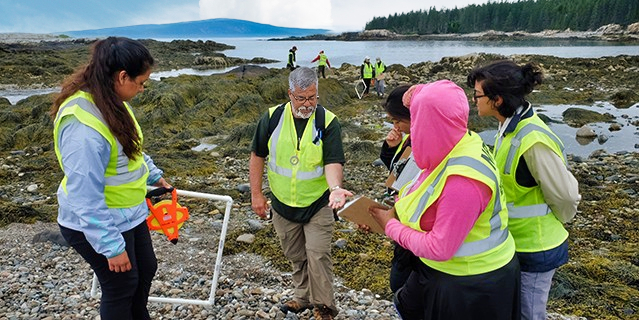 A group of students holding transects looking at a shell in a scientist's hand at Acadia National Park.