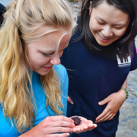 Two girls looking at a sea urchin one of them is holding.