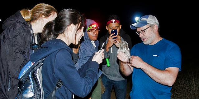 A group of students taking a photo of an owl a scientist is holding.