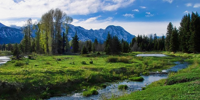 Yellowstone National Park in West Yellowstone, Montana