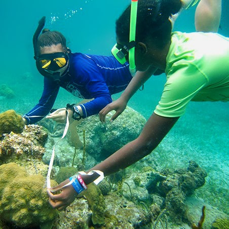 Two teen girls measuring a coral (C) Amanda Lowder