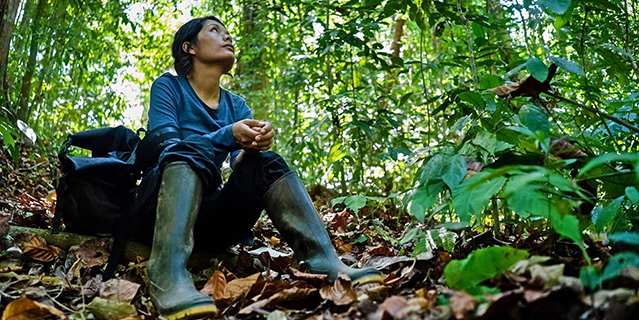 A woman sitting on the ground looking up in to the Costa Rican rainforest foliage.