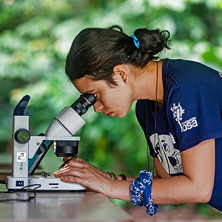 A woman is examining a beetle slide under a microscope outdoors in the rainforest.