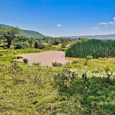 Kenya's Greater Maasai Mara