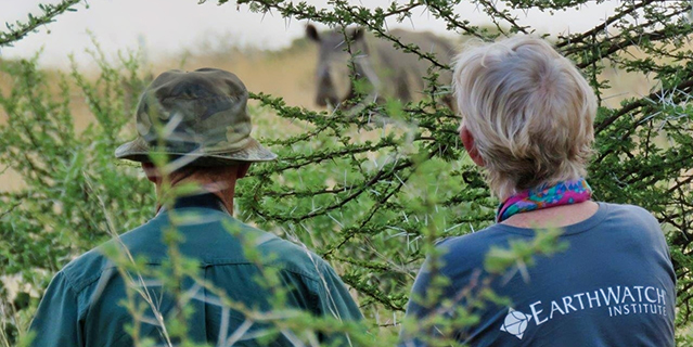 Two people observing a Rhino from behind vegetation (C) Lynne MacTavish | Earthwatch.