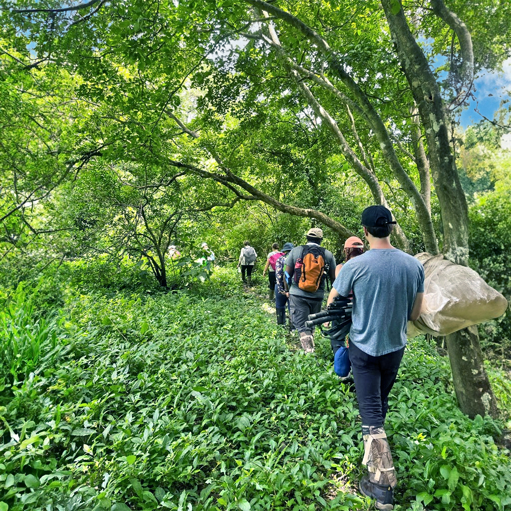 Earthwatch participants hiking to the research location in Costa Rica (C) Jacob Turner | Earthwatch