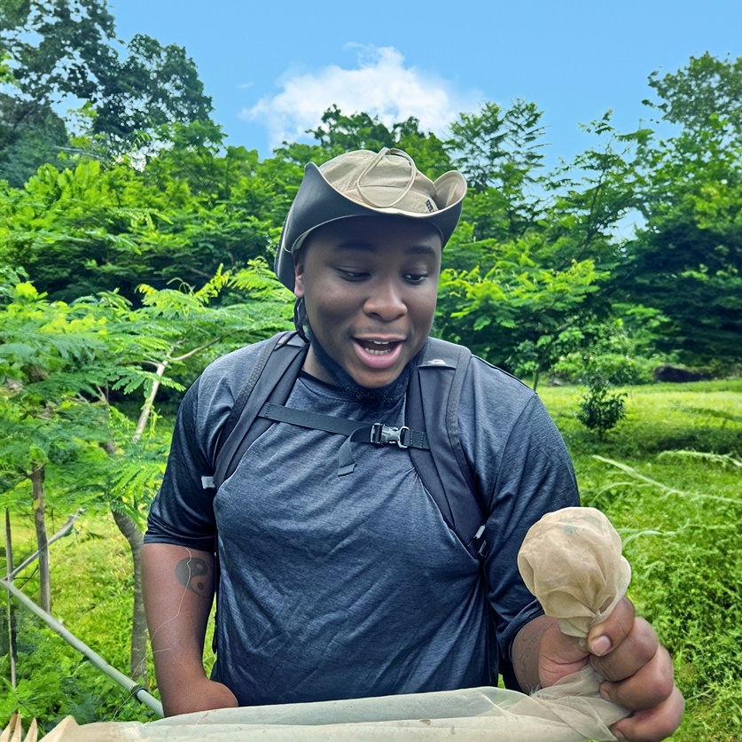 A participant looks at a pollinator caught in a butterfly net (C) Seraj Sidibe | Earthwatch