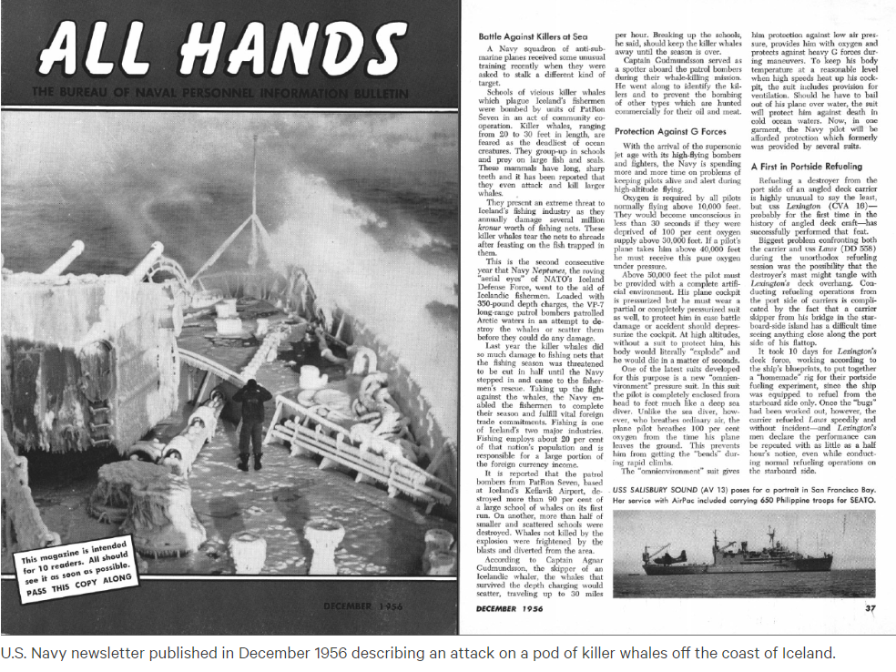 US Navy newsletter