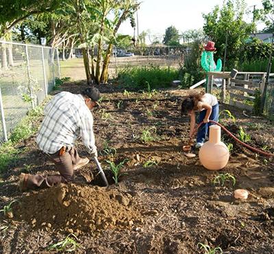 Collect essential environmental data to promote urban resiliency while helping to influence positive change.