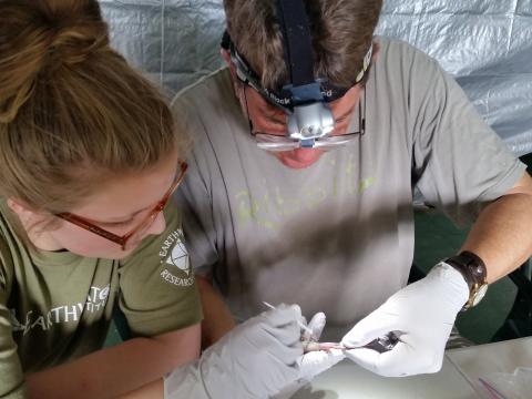 Stan conducting fieldwork